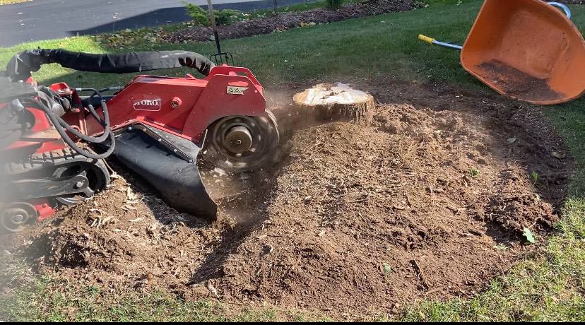 Stump Grinding 